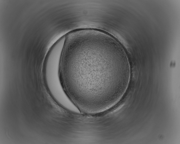 X0000092000885200709271506