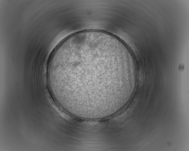 X0000092000886200709271506