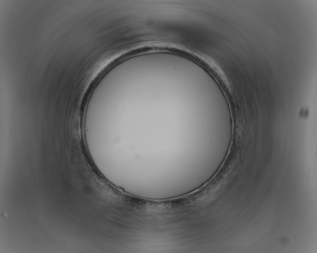 X0000092000887200709271506