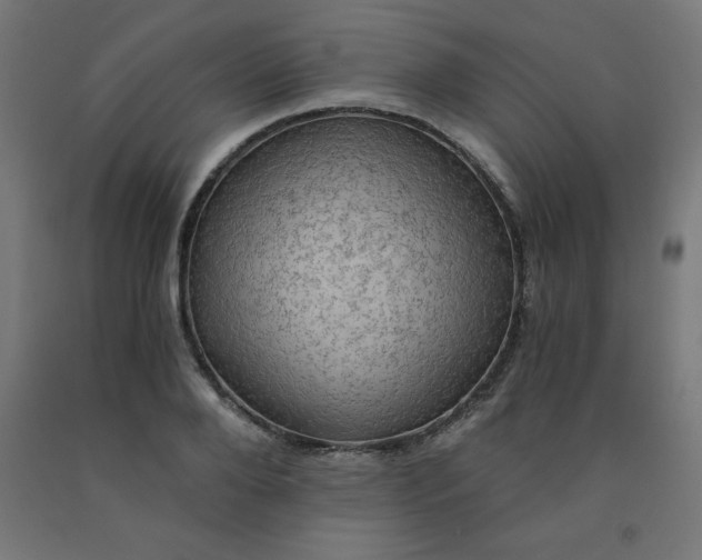 X0000092000888200709271506