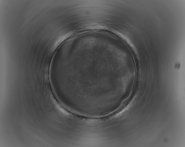 X0000092000889200709271506