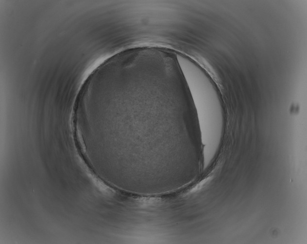 X0000092000893200709271506