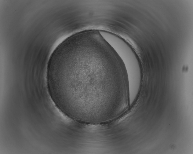 X0000092000894200709271506