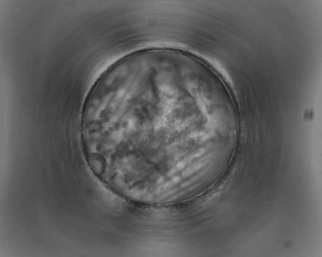 X0000092000895200709271506