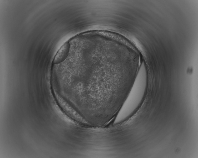 X0000092000896200709271506