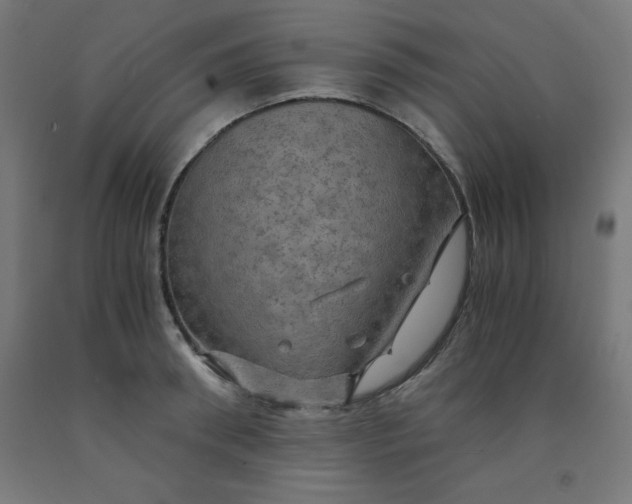 X0000092000898200709271506