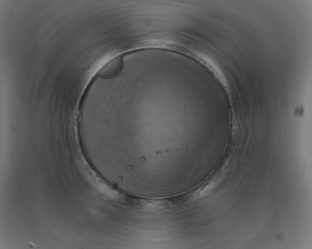 X0000092000899200709271506