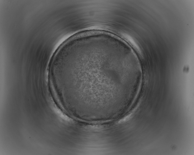 X0000092000900200709271506