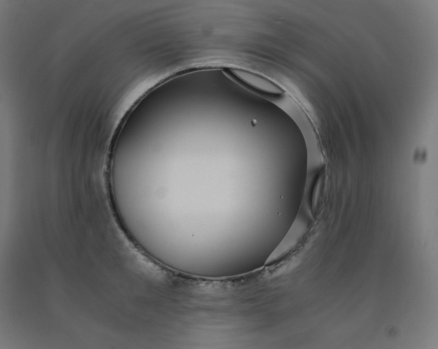 X0000092000901200709271506