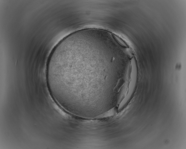 X0000092000902200709271506