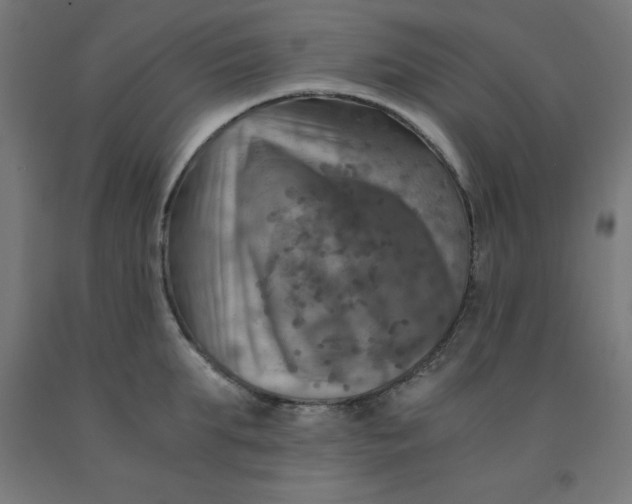 X0000092000903200709271506