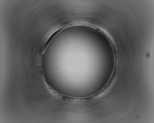 X0000092000905200709271506