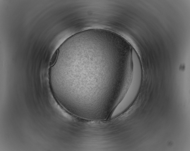 X0000092000906200709271506