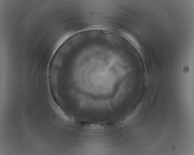 X0000092000907200709271506