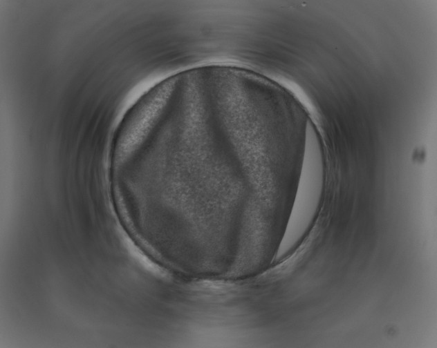 X0000092000910200709271506