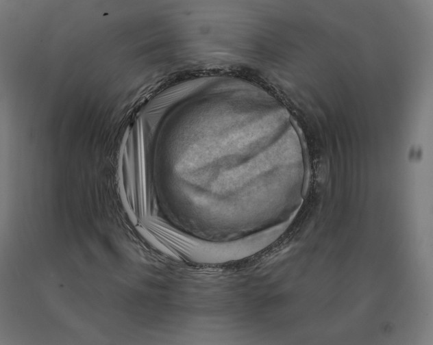 X0000092000916200709271505