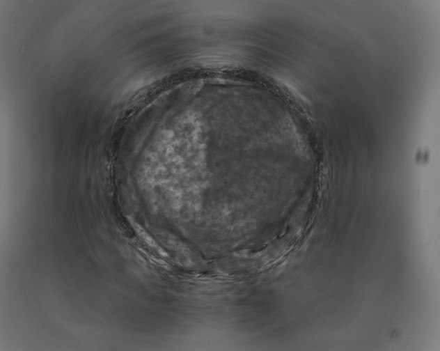 X0000092000917200709271505