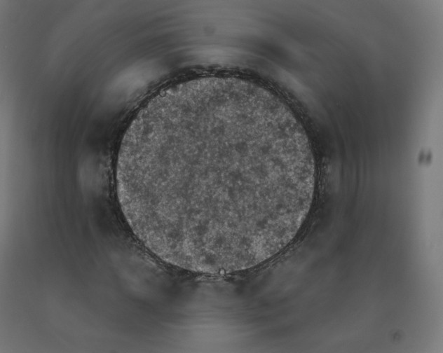 X0000092000918200709271505