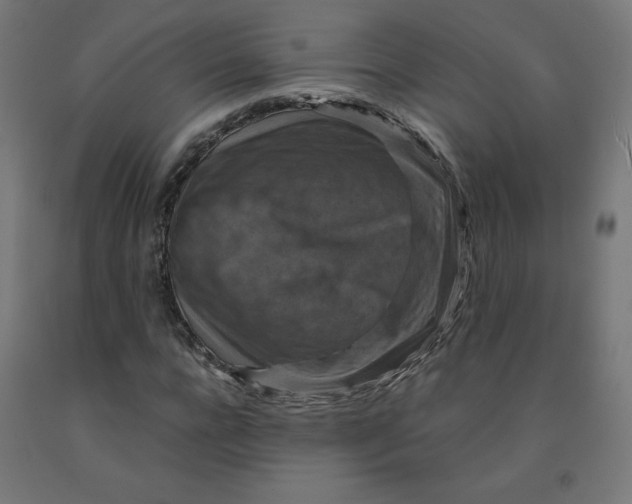 X0000092000920200709271505