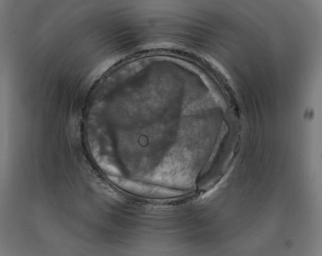 X0000092000921200709271505