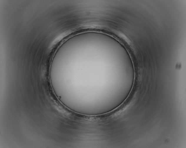 X0000092000922200709271505