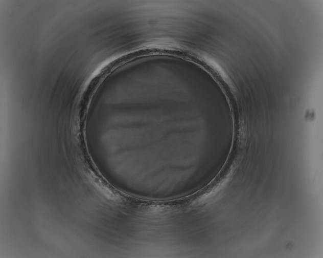 X0000092000923200709271505