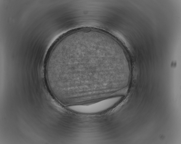 X0000092000924200709271505