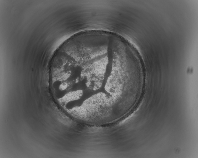 X0000092000925200709271505