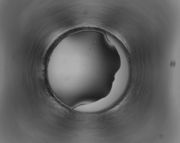 X0000092000926200709271505