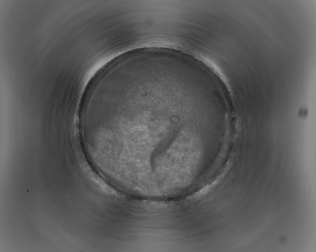 X0000092000928200709271505