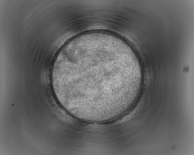 X0000092000929200709271505