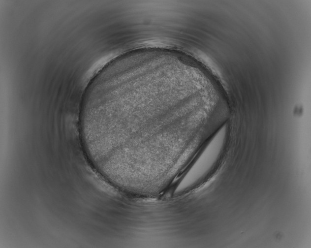 X0000092000930200709271505