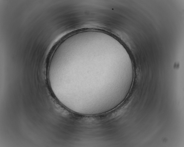 X0000092000931200709271505