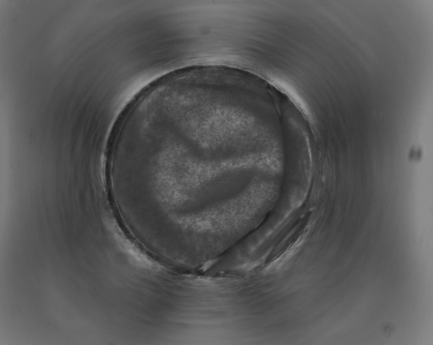 X0000092000932200709271505