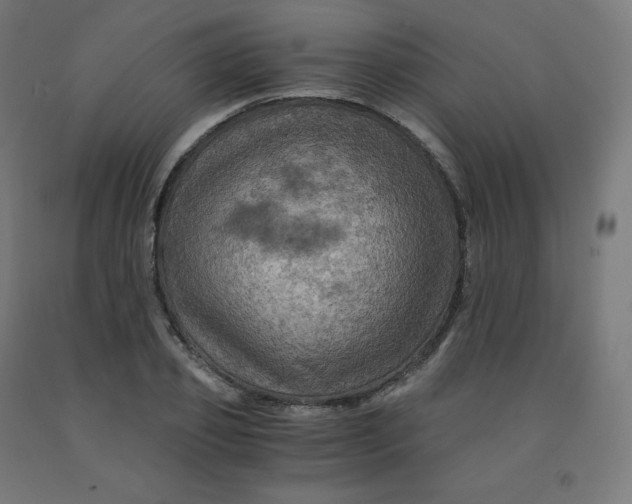 X0000092000933200709271505