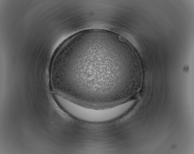 X0000092000936200709271505