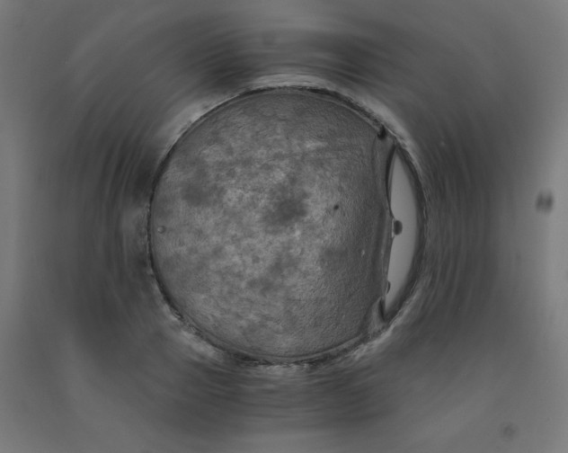 X0000092000937200709271505