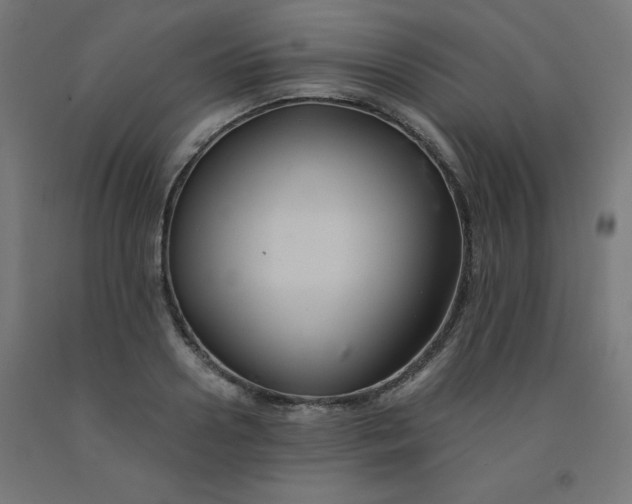 X0000092000938200709271505