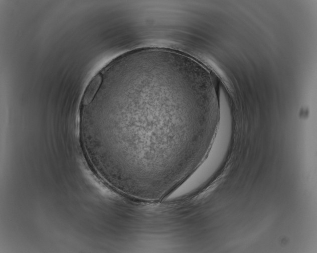 X0000092000940200709271505