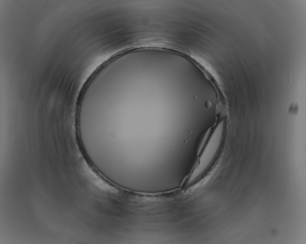 X0000092000941200709271505