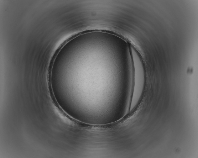 X0000092000942200709271505