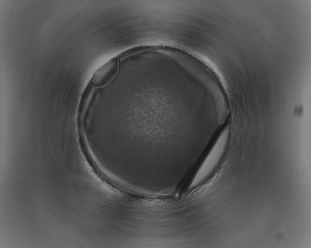 X0000092000943200709271505