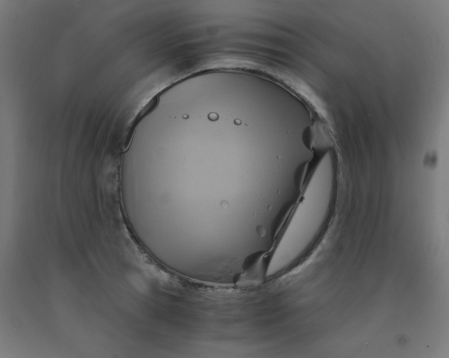 X0000092000945200709271505