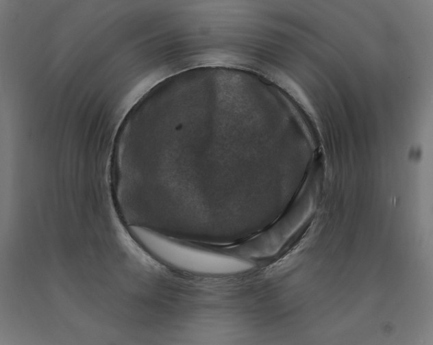 X0000092000946200709271505