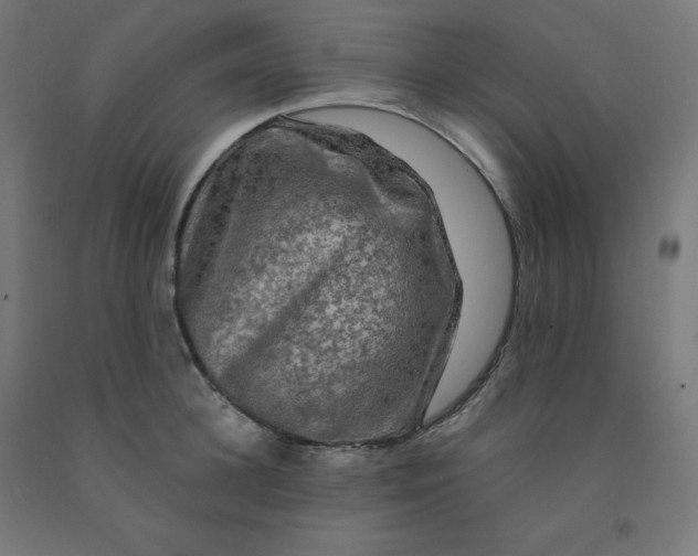 X0000092000948200709271505