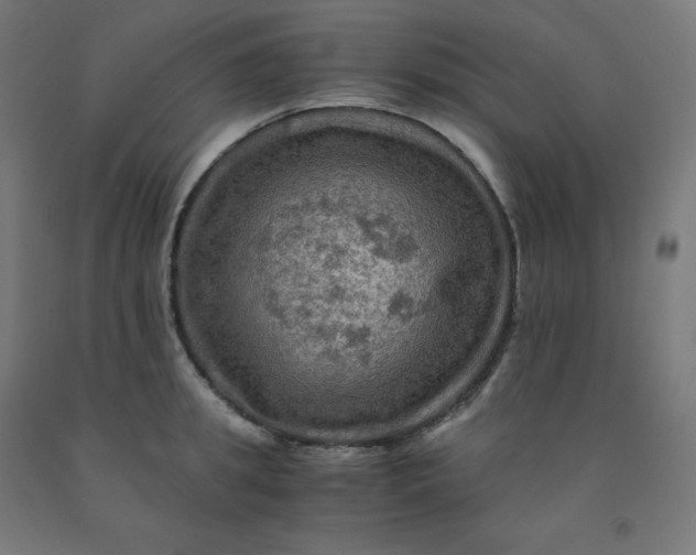 X0000092000949200709271505