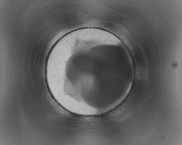 X0000092000950200709271505