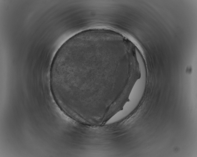 X0000092000951200709271505