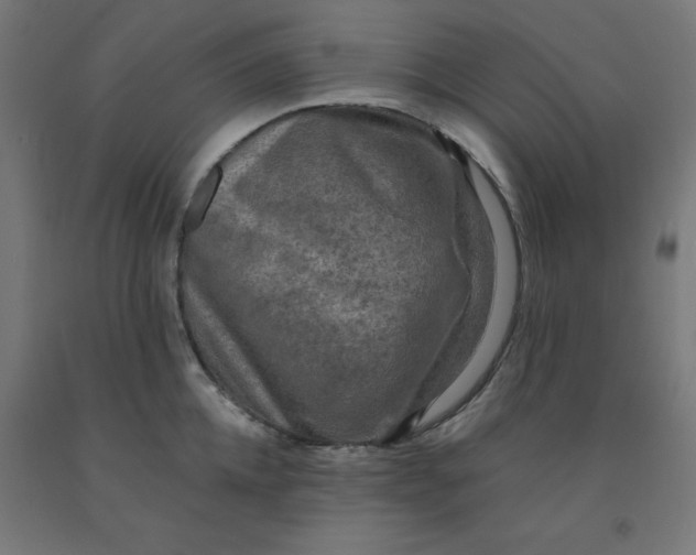 X0000092000952200709271505