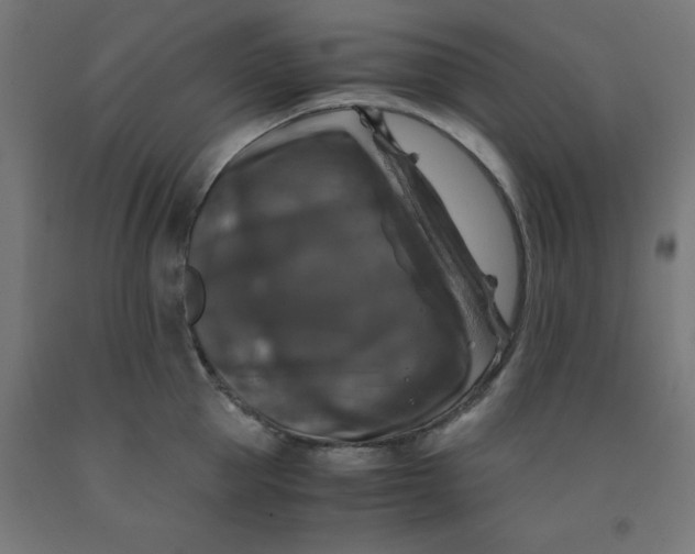 X0000092000953200709271505